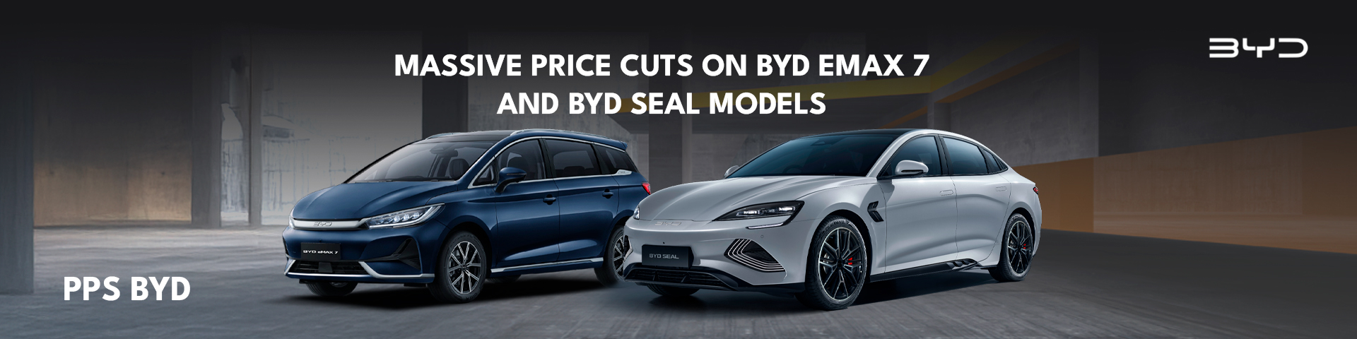 BYD Price Cut